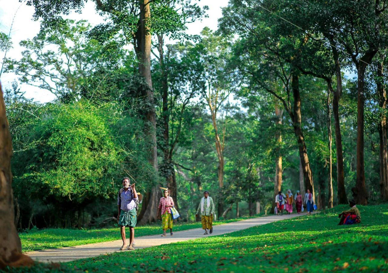 Tusker Inn Wayanad Forest Villa By Voye Homes المظهر الخارجي الصورة