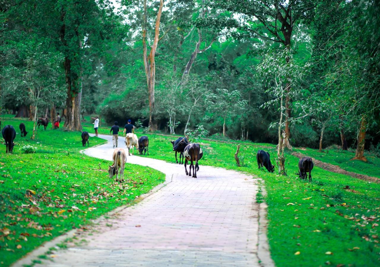 Tusker Inn Wayanad Forest Villa By Voye Homes المظهر الخارجي الصورة