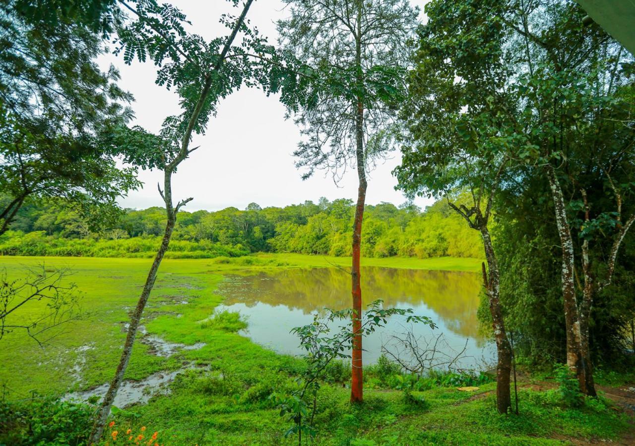 Tusker Inn Wayanad Forest Villa By Voye Homes المظهر الخارجي الصورة